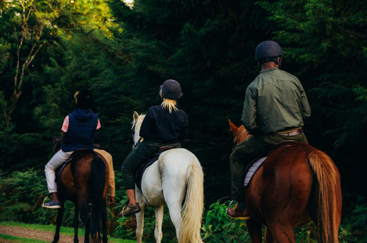 Horse Riding for Two at The Forest