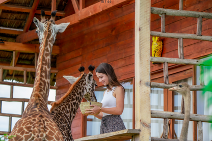 Kilimanjaro’s Wilderness at Serval Wildlife For Two in Tanzania